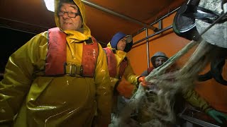 Documentaire La dure vie des pêcheurs en mer