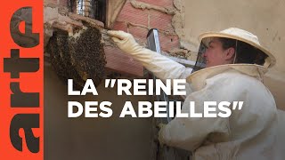 Documentaire La gastronomie au secours des abeilles