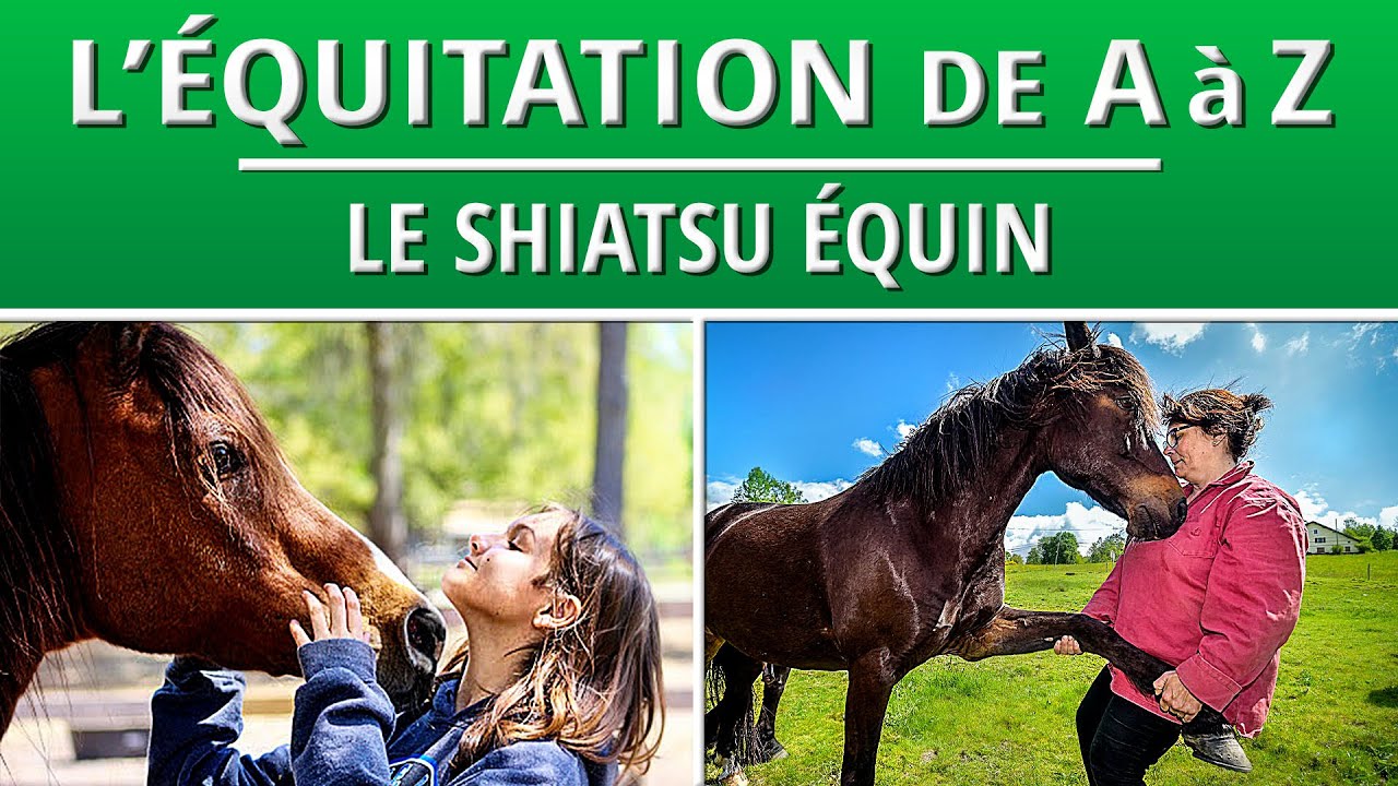 Documentaire Le Shiatsu Équin : apporter une relaxation au cheval