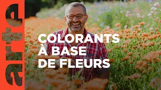Les colorants alimentaires