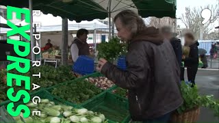 Documentaire Les secrets des herbes de Provence