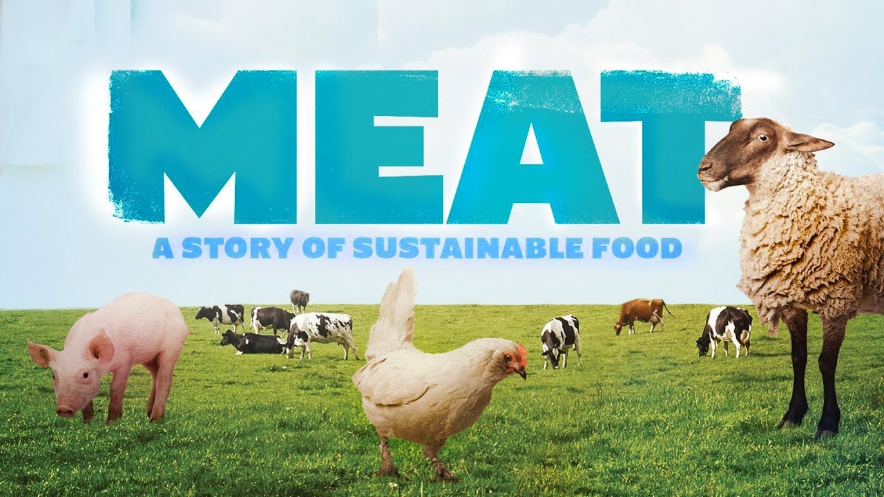 Documentaire MEAT : la vérité sur ces animaux qu’on mange