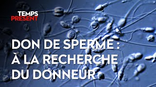 Documentaire Né par don de sperme, à la recherche du donneur