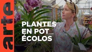 Documentaire Plantes d’intérieur : vers une production durable