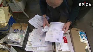 Saint-Denis : commissariat en effervescence