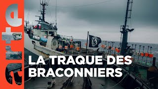 Documentaire Sea Shepherd à la poursuite du Thunder | Les justiciers des océans
