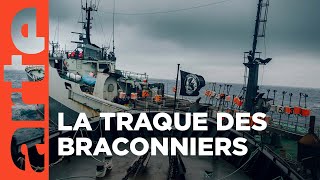 Sea Shepherd à la poursuite du Thunder | Les justiciers des océans