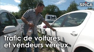 Documentaire Trafic de voitures : enquête sur les vendeurs véreux