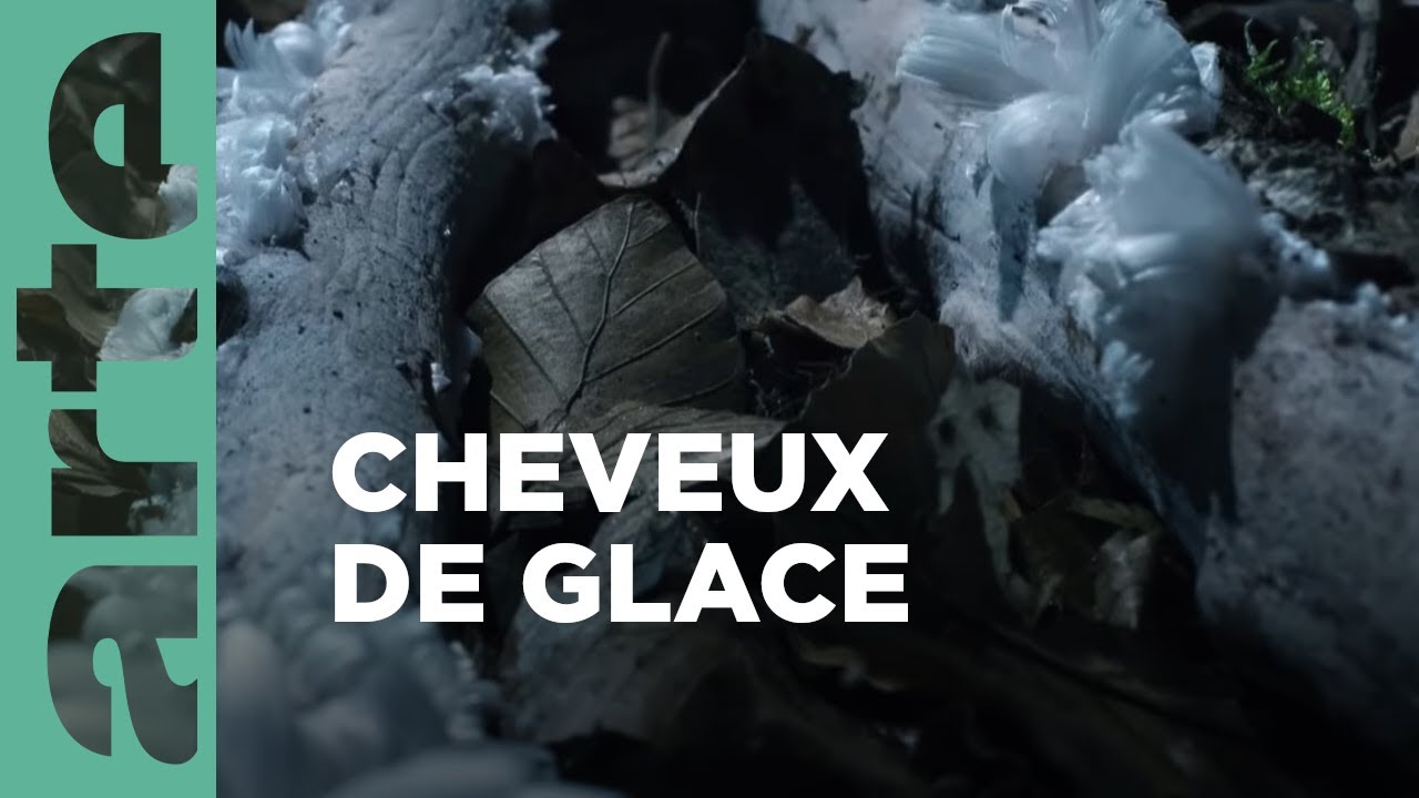 Documentaire Un hiver dans les Alpes