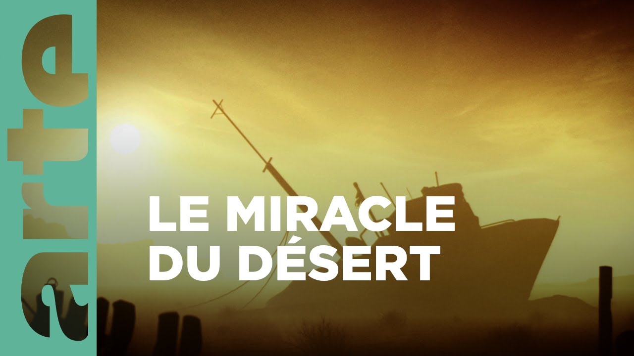 Aral, une mer pour du coton