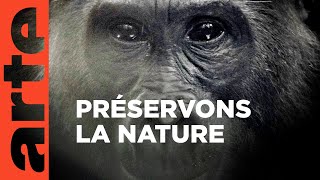 Documentaire Bonnes nouvelles de la planète