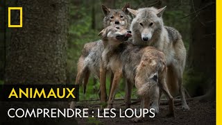 Documentaire Les loups