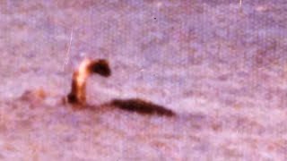 Champ, le plus vieux monstre d’Amérique – Créatures de Légendes