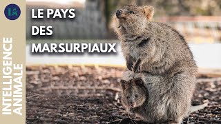 Comment protéger les animaux endémiques d'Australie ?