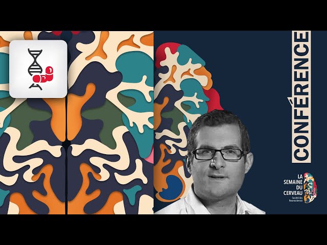 Biopsie virtuelle sous IRM : sonder l'organisation cellulaire du tissu cérébral ?