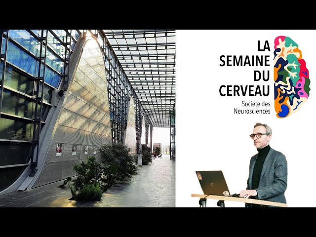Cerveau : l’IA pour identifier des signatures cérébrales des troubles psychiatriques