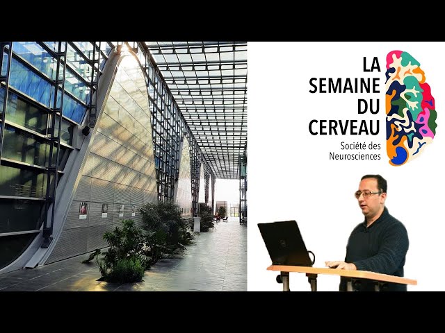 Cerveau et métabolisme