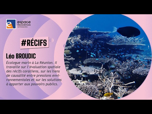 Les récifs coralliens sous surveillance