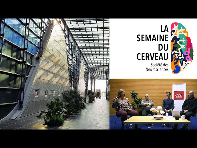 Documentaire Vers une alliance des neurosciences cognitives et computationnelles ?