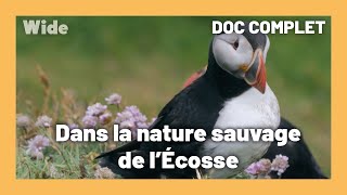 Documentaire Écosse : une nature primitive préservée