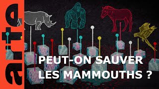 Documentaire Et si on ressuscitait les mammouths ?