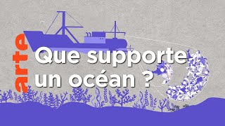 Documentaire Évaluer la surexploitation des océans