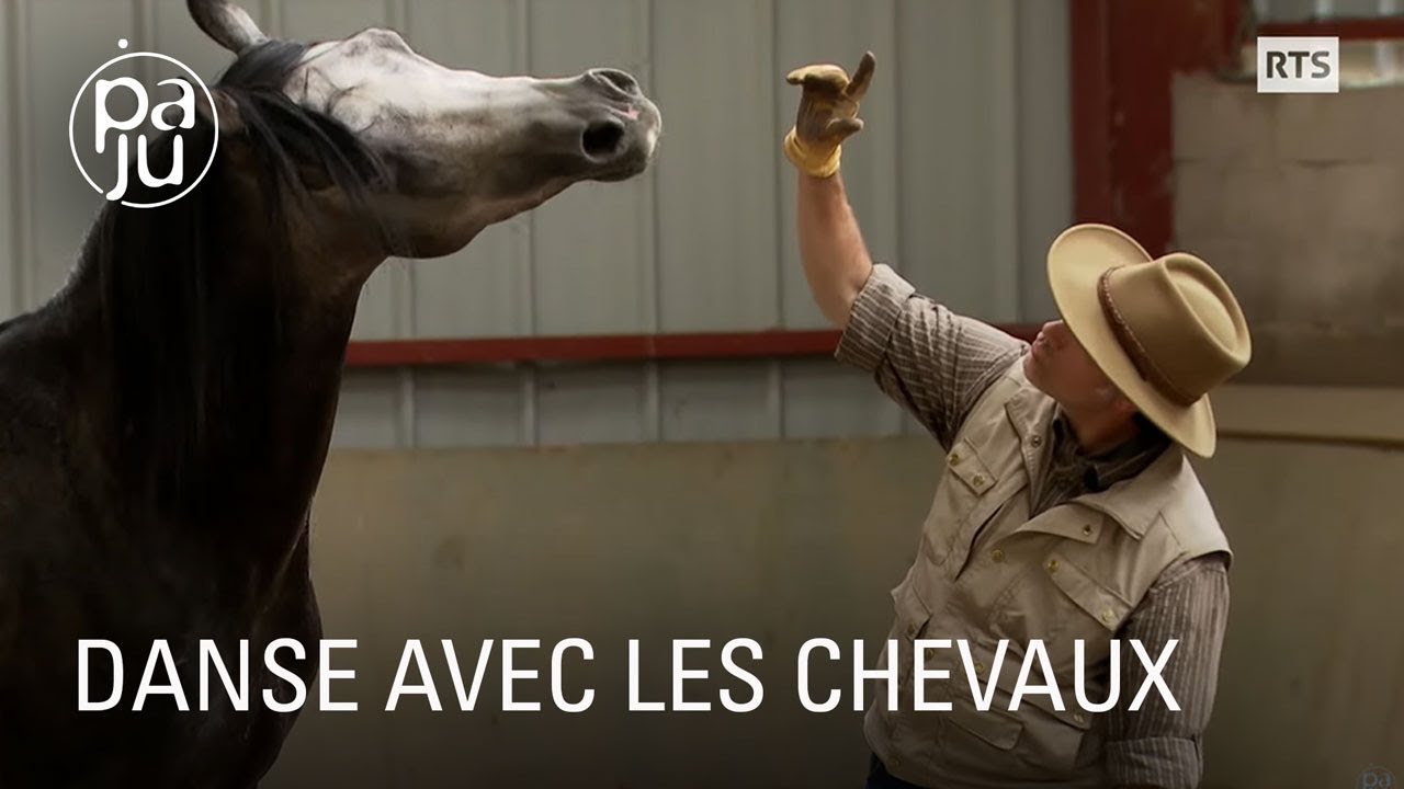 German Herrero parle cheval et danse avec eux