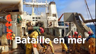 Guerre du poisson dans les eaux européennes