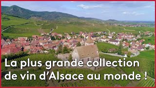 Documentaire La plus grande collection de vin d’Alsace au monde