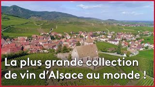 La plus grande collection de vin d’Alsace au monde
