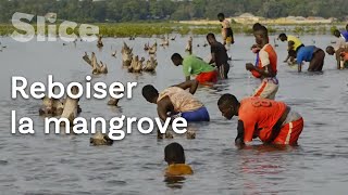 Documentaire Le nouveau souffle du Saloum