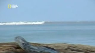 Le tsunami du 26 décembre 2004