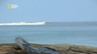 Documentaire Le tsunami du 26 décembre 2004