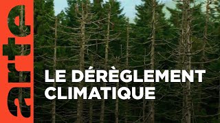 Les défis de la nature | France-Allemagne, une histoire commune