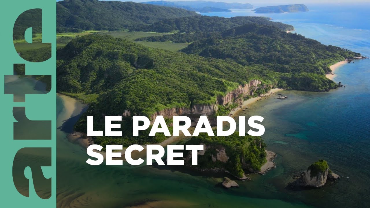 Documentaire L’île Iriomote : un paradis tropical au Japon 