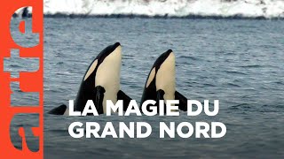 Merveilles nordiques