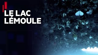 Documentaire Moule Quagga : sus à l’envahisseur !