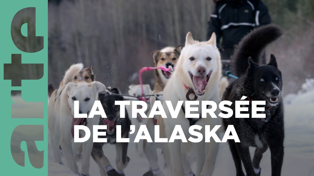 Musher, l'appel de l'Alaska