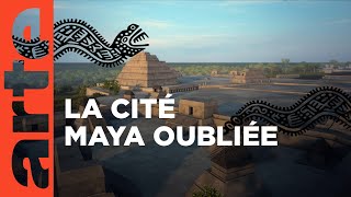 Documentaire Naachtun – La cité maya oubliée