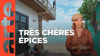 Panama | Invitation au voyage