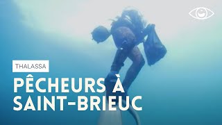 Documentaire Pêche à la coquille (et aux ormeaux) à Saint-Brieuc