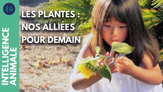 Pourquoi les plantes nous sont-elles supérieures ?