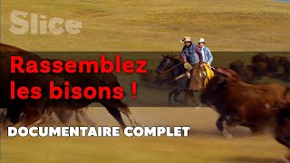 Round Up : une chevauchée légendaire