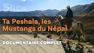 Documentaire Ta Peshala, les mustangs du Népal
