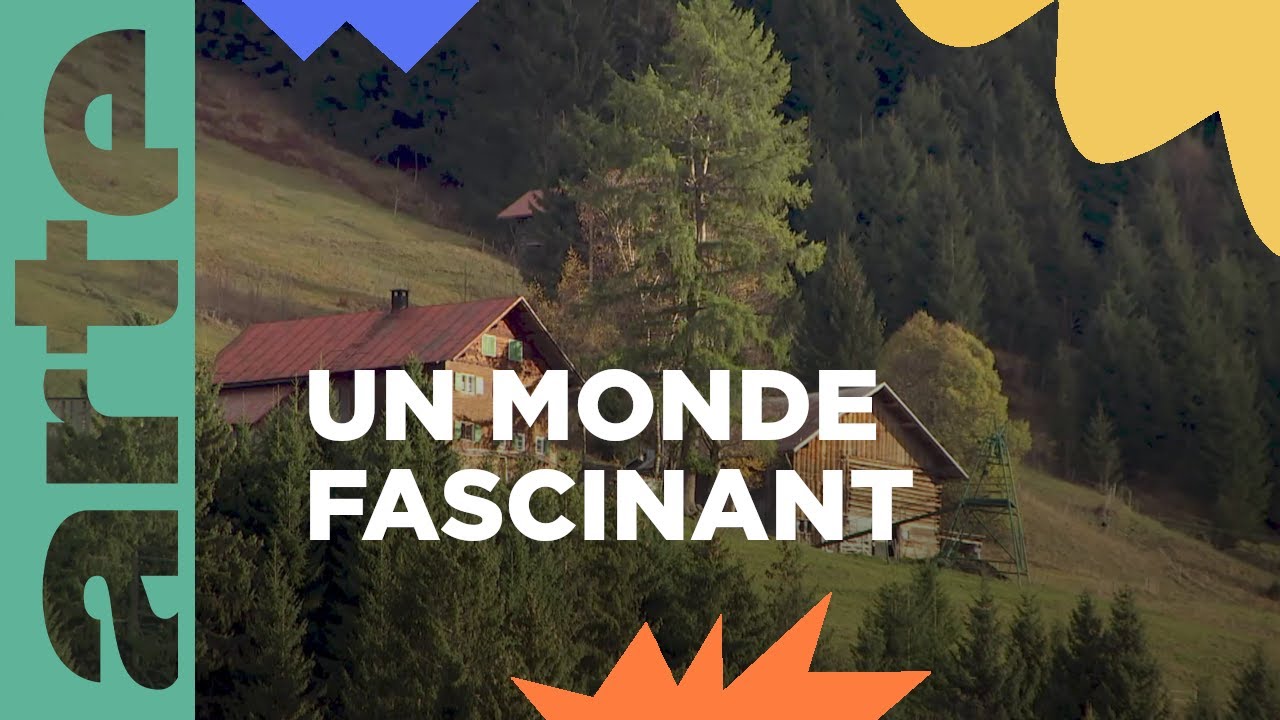 Tous à la montagne, bienvenue dans les Alpes