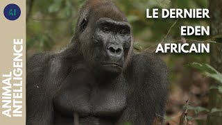 Un sanctuaire de vie sauvage