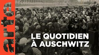 Documentaire Un jour à Auschwitz