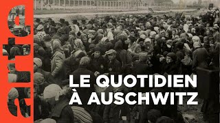 Un jour à Auschwitz