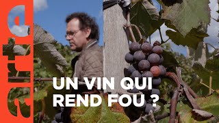 Un vin controversé : l’Uhudler en Autriche