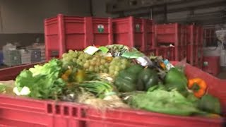 Documentaire Alimentation, le prix du gâchis